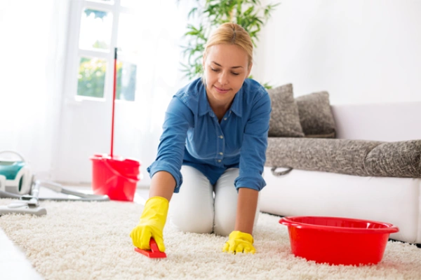 Carpet Washing Service