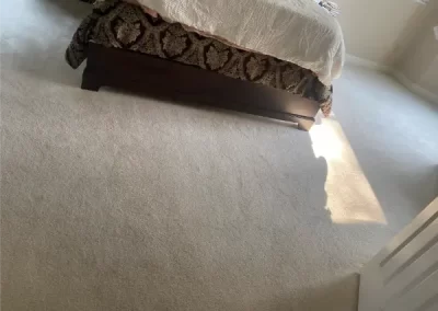 Reputed Professional Carpet Cleaning