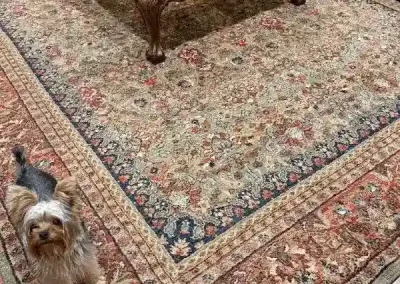 Reputed Professional Carpet Cleaning