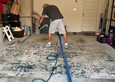 Reputed Professional Carpet Cleaning