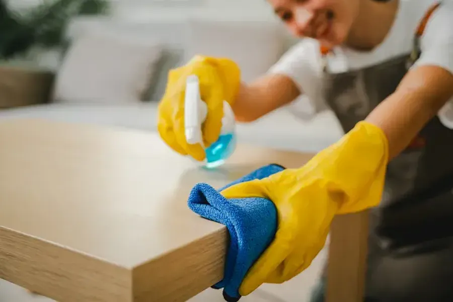 What Triggers The Need For Furniture Deep Cleaning Covington, LA