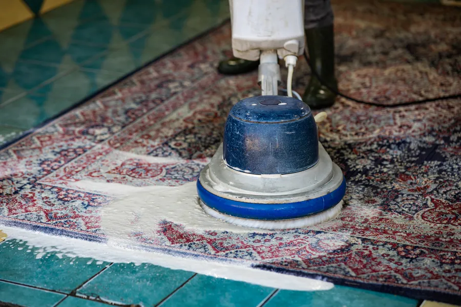 Why Regular Carpet Washing Protects Your Flooring Investment Covington, LA Why Regular Carpet Washing Protects Your Flooring Investment Covington, LA